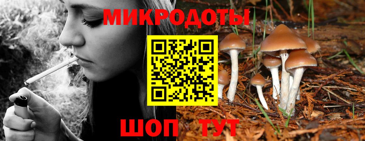 Галлюциногенные грибы прущие грибы Новоалтайск