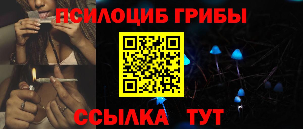 Новоалтайск  Галлюциногенные грибы MAGIC MUSHROOMS  Вход с VPN 